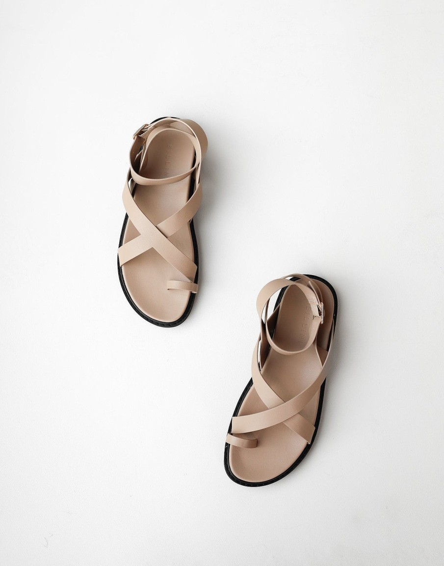 Shoes Billini | Zinnia Sandals (Clay) - By Billini